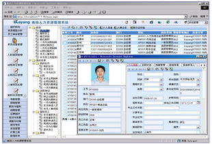 人力資源管理軟件的技術規(guī)范與技術轉讓